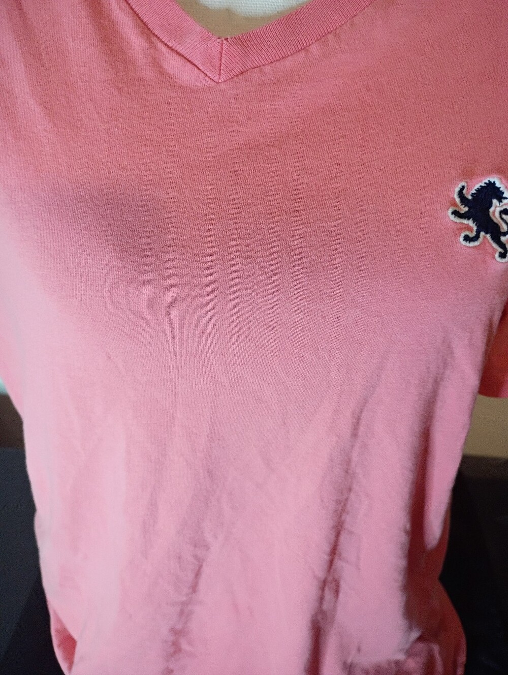Express Pink V-Neck Short Sleeve Tee with Embroidered Crest